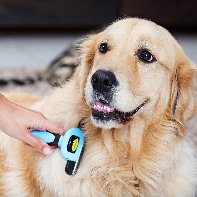 DakPets Pet Deshedding Tool | Professional Cat and Dog Brush for Shedding | Fur Deshedding Brush and Pet Hair Remover for Cats and Dogs | Stainless Steel Cat and Dog Shedding Brush for Pet Grooming Blue