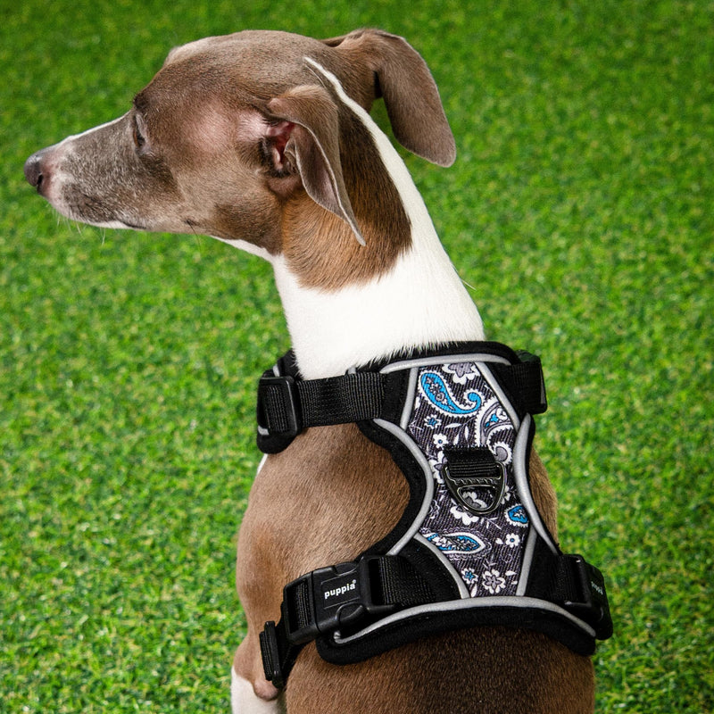 Puppia Cynthia Dog Harness H Sturdy Adjustable Neck and Chest Reflective Flower Pattern Front and Back D-Ring for Small and Medium Dogs, Black, Medium - PawsPlanet Australia