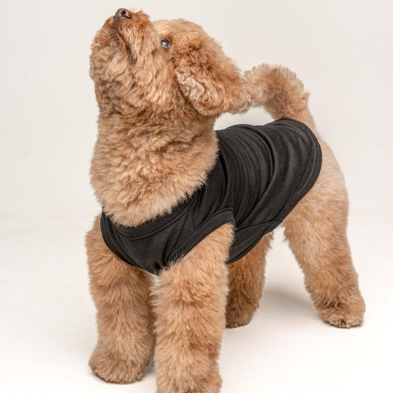 Baby Security in Training Dog Tee Shirt | Sleeveless | Pregnancy Announcement | New Baby | Gender Reveal | Photoshoot (Black M) Black Medium (6-12lbs) - PawsPlanet Australia