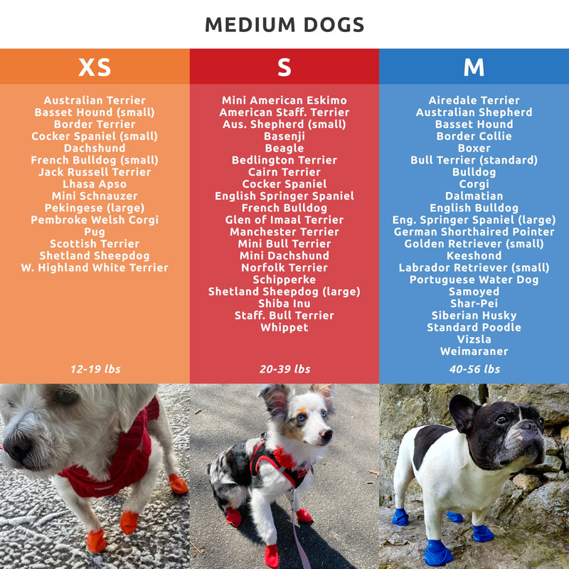 PawZ Rubber Dog Boots for Small Paws - All-Weather Waterproof Dog Shoes, Anti-Slip Traction for Rain, Snow, Mud & Hot Pavement - Pull-On Dog Booties, Red - Small (2"-2.5") - Pack of 12