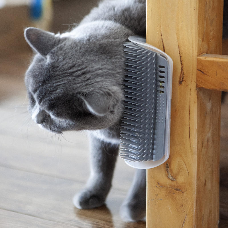 Extended (6.1") 2 Pack cat self groomer for Indoor cats cat face scratchers wall corner self grooming cat brush Cat Corner Scratcher Massage Combs for Long Short Fur Kitten (grey) grey - PawsPlanet Australia