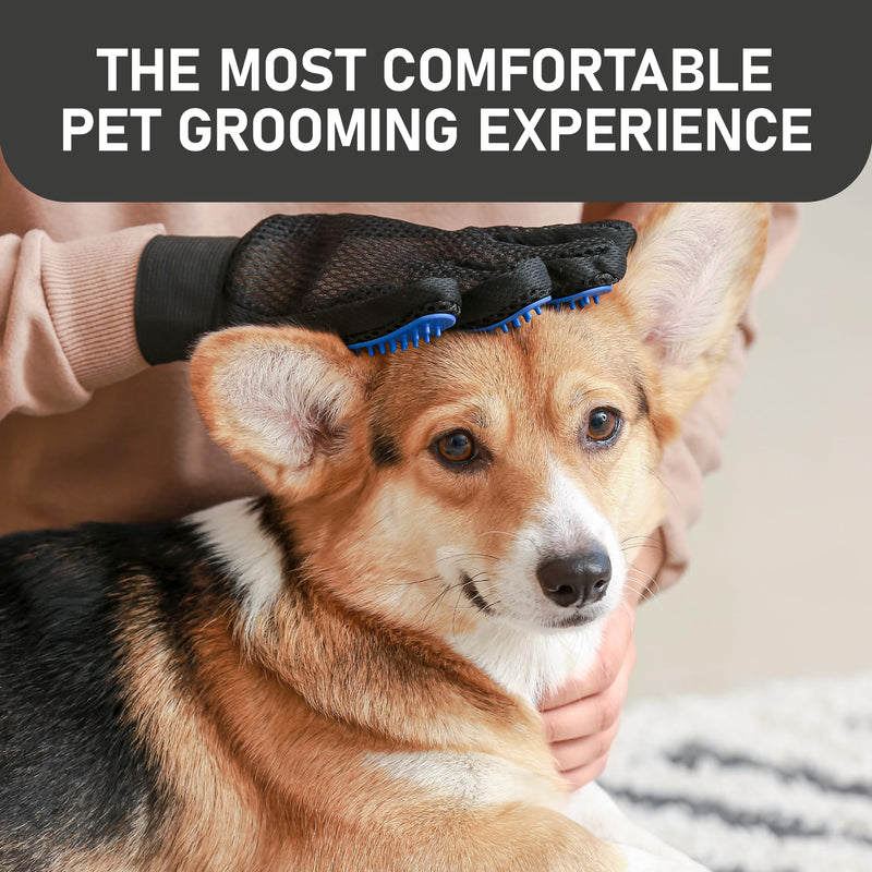 Maxpower Planet Hair Brush & Grooming Gloves for Dogs and Cats - Blue - PawsPlanet Australia