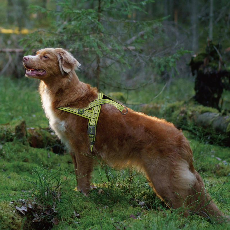DOCO No-Pull Dog Harness for Small Sized Dog, Halter Reflective Easy-Control Harness for Training, Walking, and Preventing Pulling, Breathable Design - Raspberry Pink - PawsPlanet Australia