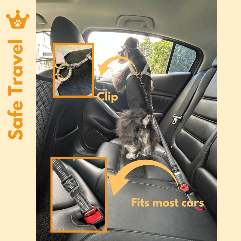 Dog Car Accessories Essentials Kit, with 2 Retractable Harness Adjustable Seat Belt Leash, Portable Collapsible Pet Bowl, Car Net Barrier for Dogs in Vehicle, and 4 Headrest Hooks for Hanger - PawsPlanet Australia