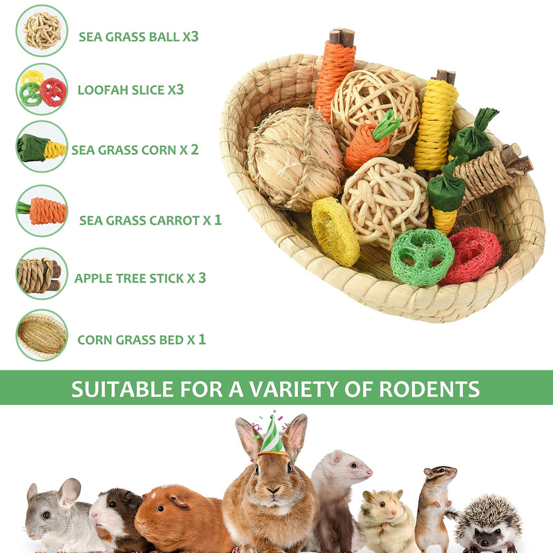 Rabbit Toys 13Pcs, Natural Hay Hamster Chew Toys for Teeth, Handmade Apple Wood Sticks Guinea Pig Bunny Toys 13PCS Set - PawsPlanet Australia