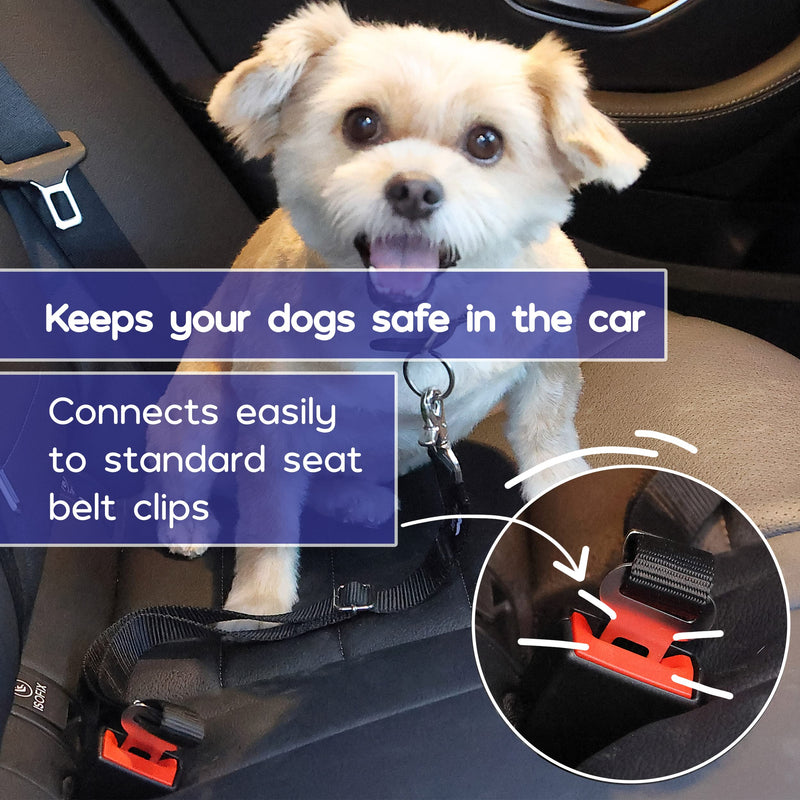 Mr. Pen- Dog Seat Belt, 2 Pack, Adjustable Dog Seat Belt for Car, Dog Seatbelt, Dog Car Seat Belts, Seat Belt for Dogs in Car, Dog Car Seat Belt, Dog Car Leash, Dog Seatbelt Harness, Pet Seatbelt - PawsPlanet Australia