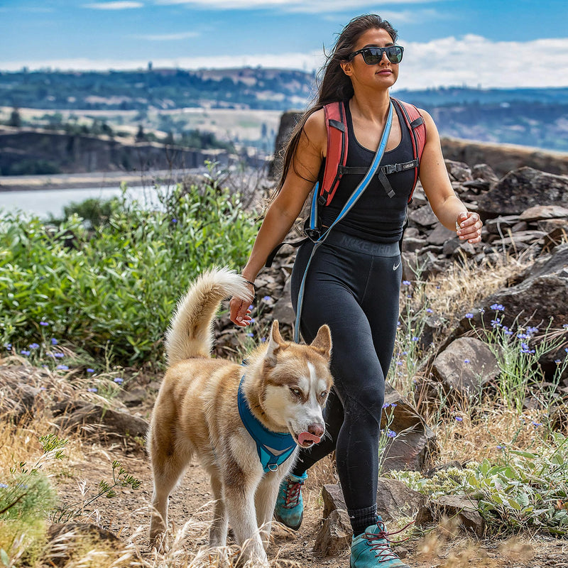 Kurgo 6 in 1 Quantum Leash, Hands Free Leash for Dogs, Running Belt Lead, Crossbody & Waist Belt Style, Reflective, Carabiner Clip, for Training, Hiking, or Jogging, 4 colors Blue - PawsPlanet Australia