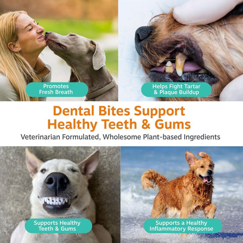 Zesty Paws Clean Breath Dental Chews for Dogs - Dog Breath Freshener + Fights Plaque & Tartar - Dental Chew with Peppermint Oil + Brown Kelp, Green Tea Extract - Teeth, Gum & Oral Health Support 120 Count (Pack of 1) - PawsPlanet Australia