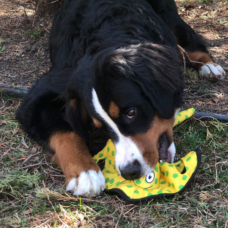 SmartPetLove Snuggle Puppy Tender-Tuffs - Yellow Stingray Tug of War Plush Dog Toy - Great for Play and Interaction with Puncture Resistant Squeaker - PawsPlanet Australia