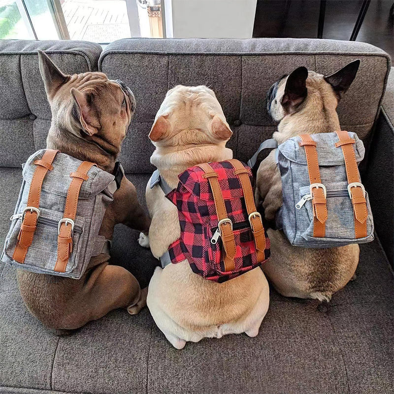 Cute Dog Backpack for Dogs to Wear Puppy Backpacks Adjustable Pet Self Carrier Bag with Harness Buckle for Hiking Daily Walking, Grey - PawsPlanet Australia