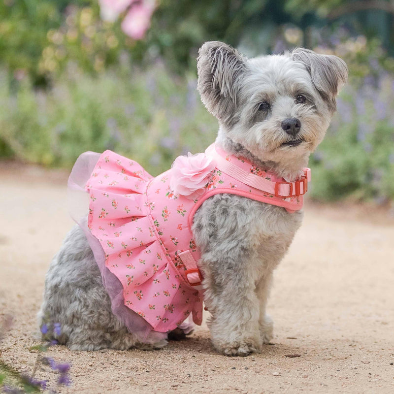 Blueberry Pet Soft & Comfy Floral No Pull Mesh Dog Harness, X-Small, Rose Baby Pink, Dress Harness for Dogs Girl, Small Dog Vest Harness, Fashionable for Puppy Owners X-Small (Pack of 1) - PawsPlanet Australia