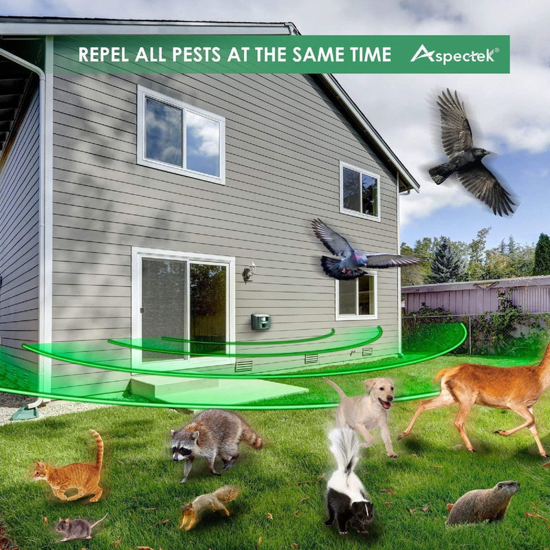 ASPECTEK Yard Sentinel Outdoor Ultrasonic Animal Repeller with Motion Sensor, Adjustable Volume, Waterproof, Extension Cord, Powerful Repel for Squirrel, Raccoon, Skunk, Rabbit, Fox, Deer, Etc 1 Animal repellent