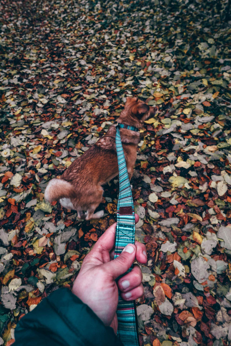 Embark Adventure Dog Leashes - Colorful, Strong, and Sturdy Dog Leash for Small, Medium, and Large Breed Dogs (Boho, 5 Ft) Boho - PawsPlanet Australia