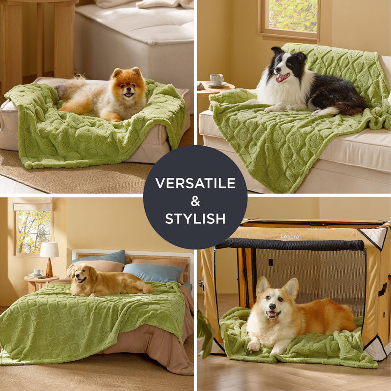 Bedsure Dog Blanket for Medium Dogs Washable - Fluffy Fuzzy Puppy Cat Blanket with Premium 300GSM Coral Fleece Soft for Pet Kitten Doggy, Green, 30x40IN Lint Heart M(30x40") - PawsPlanet Australia