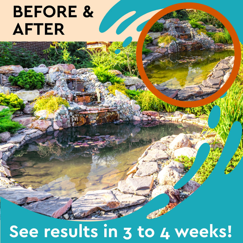 Algaecide for Fountains – Clarify and Controls Algae for Large and Small Fountain (8 oz) 8 oz - PawsPlanet Australia
