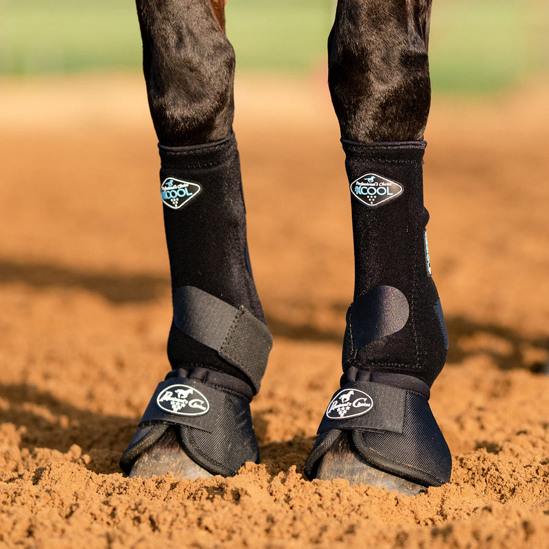 Professional's Choice Horse Equine Overreach Ballistic Bell Boots Navy Blue X-Large Black