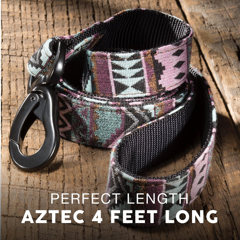 Embark Adventure Dog Leashes - Colorful, Strong and Sturdy Dog Leash for Small, Medium and Large Breed Dogs (Aztec, 4 Ft) - PawsPlanet Australia