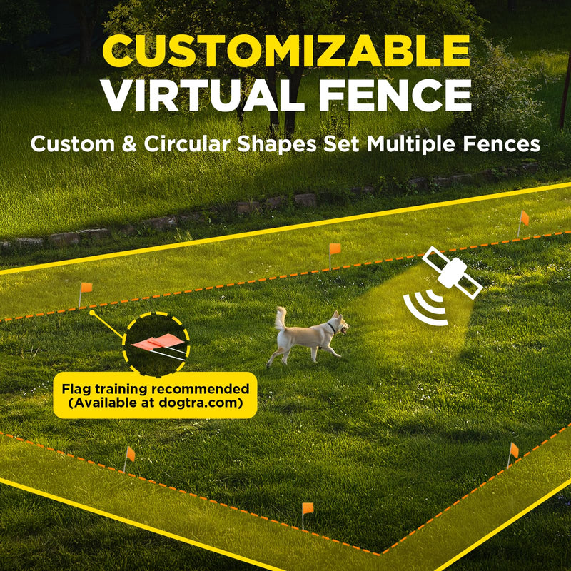 Dogtra Training Flags for GPS Fence/SMART Fence – 50-Pack Neon Orange Boundary Markers – Flexible, Weather-Resistant Yard Flags for Wireless Fence Training, Pet Containment, Safe Outdoor Setup Training Flags Only