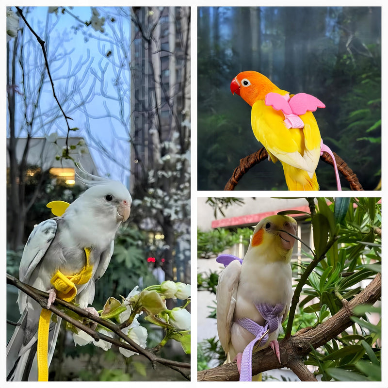 3 Sets Pet Parrot Bird Harness and Leash with Cute Wing, Adjustable Bird Flying Harness Straps Outdoor Training Traction Rope for Parrots Pigeons Lovebird Cockatiel(L,Pink, Yellow&Purple) Pink, Yellow&Purple L - PawsPlanet Australia