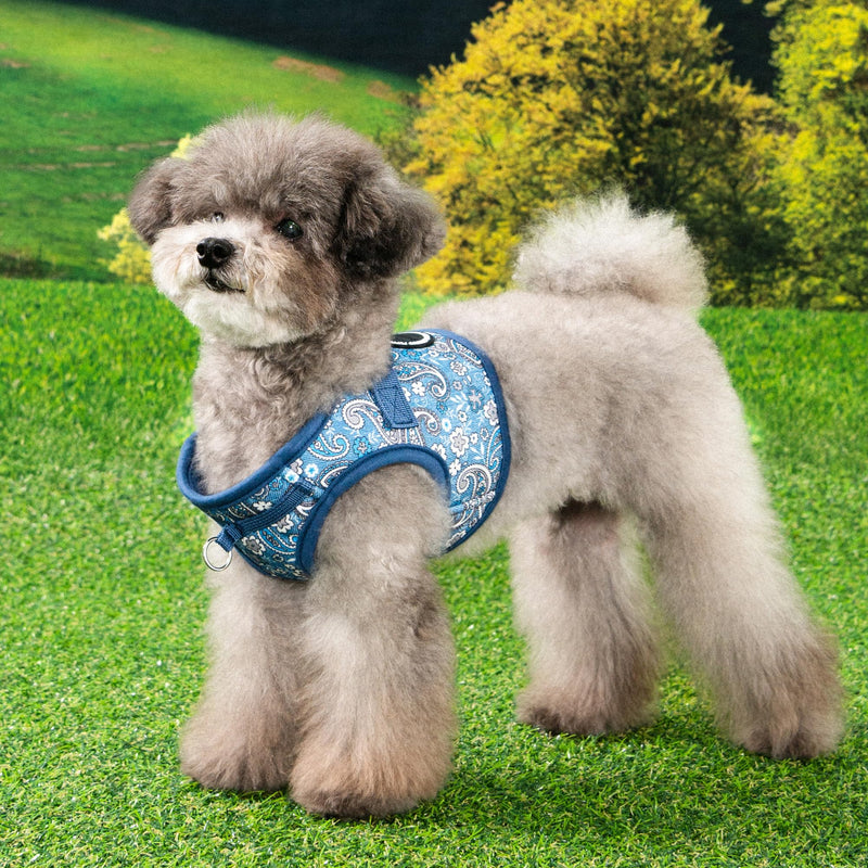 Puppia Cynthia Dog Vest Harness B (Step-in) Fashionable Paisley Pattern Spring Summer Harness for Small and Medium Dogs, Blue, X-Large Blue_Cynthia - PawsPlanet Australia