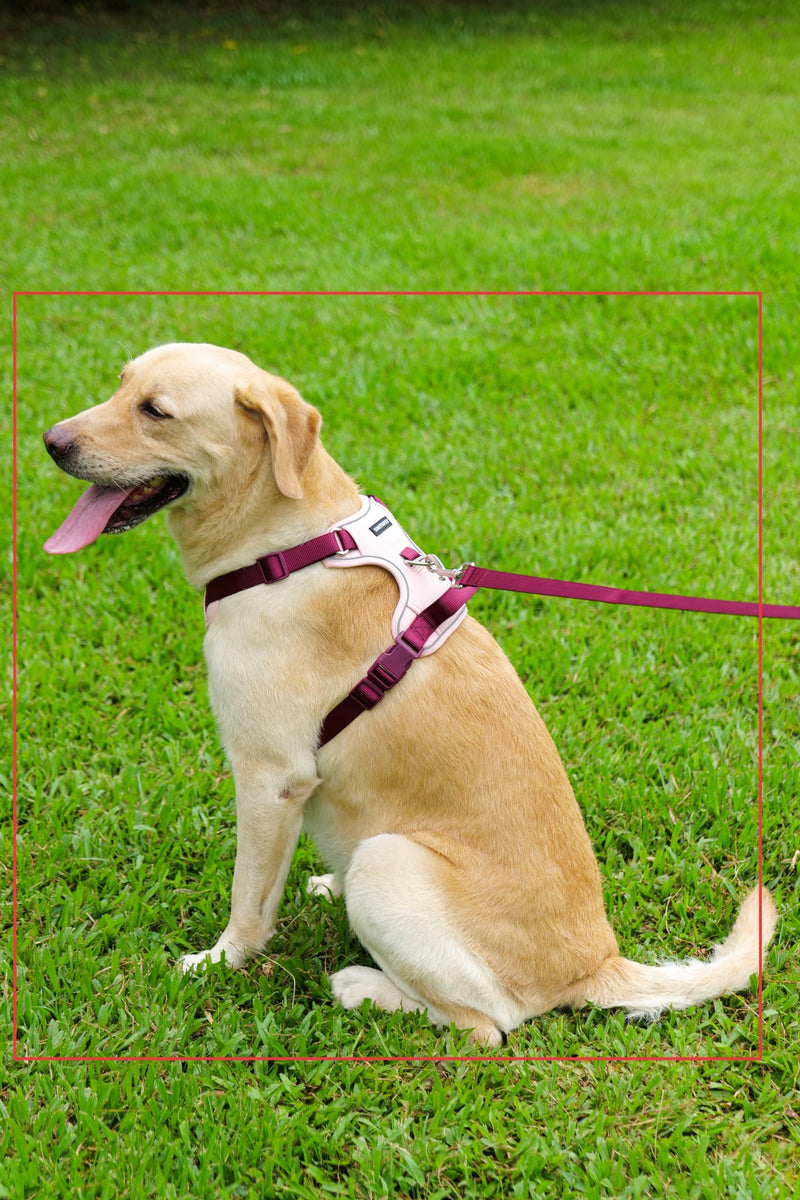 3 in 1 No Pull Dog Harness Leash and Collar Set, Soft Adjustable Dogs Vest Reflective and Comfortable Handle Pink Large L(Neck:19-27",Chest:26-34") 66-87 lbs - PawsPlanet Australia