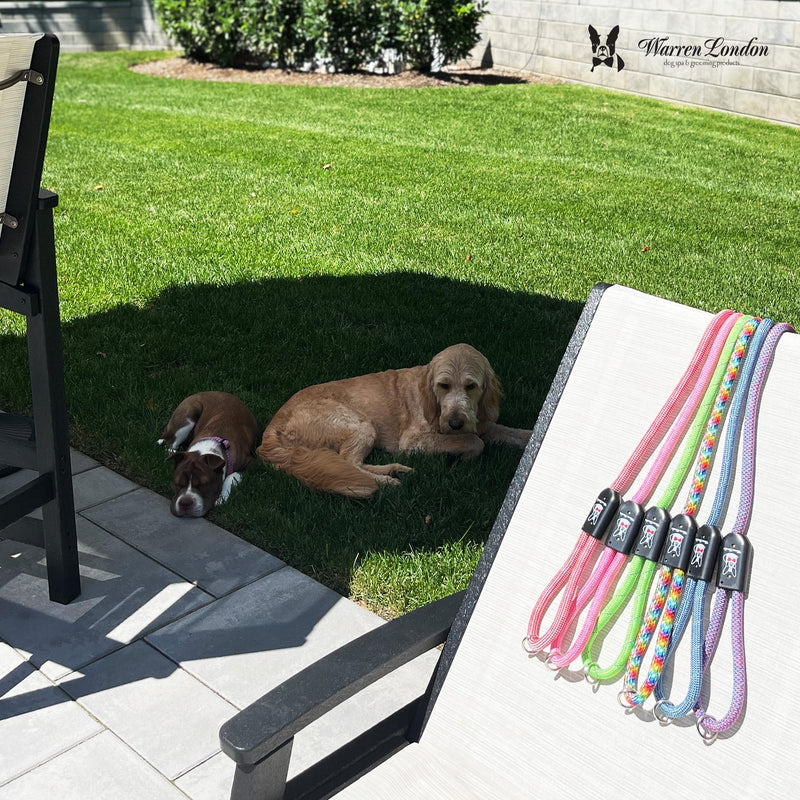 Warren London Climbing Rope Dog Leash – 5 ft Reflective Forest-Green Rope w/Comfort Grip & Locking Clip | Heavy-Duty Lead for Hiking, Camping & Daily Walks Green - Reflective - PawsPlanet Australia