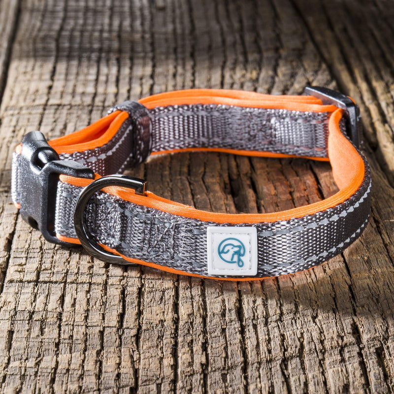 Embark Adventure Dog Collar with Soft Padded Neck, Matching Set with The Adventure Leash and Harness, Pet Collars for Dogs & Most Breeds - Dog Collar for Small Dogs (Small Dog Collars, Orange) - PawsPlanet Australia