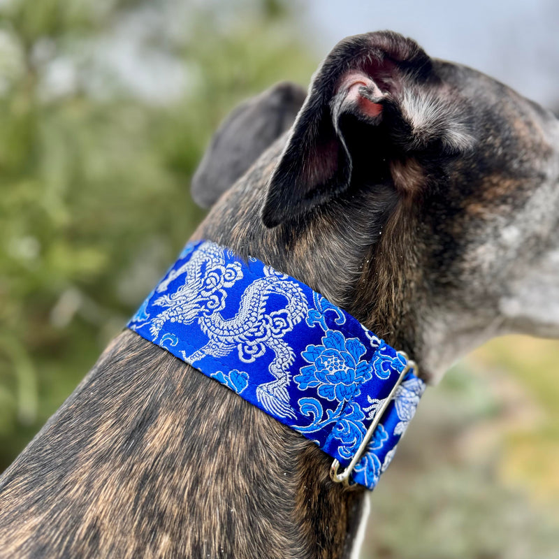 Extra Soft Martingale Dog Collar for Greyhound Saluki Whippet and Other Breeds with Similar Neck 2" Wide (L 14"-18") L 14"-18" - PawsPlanet Australia