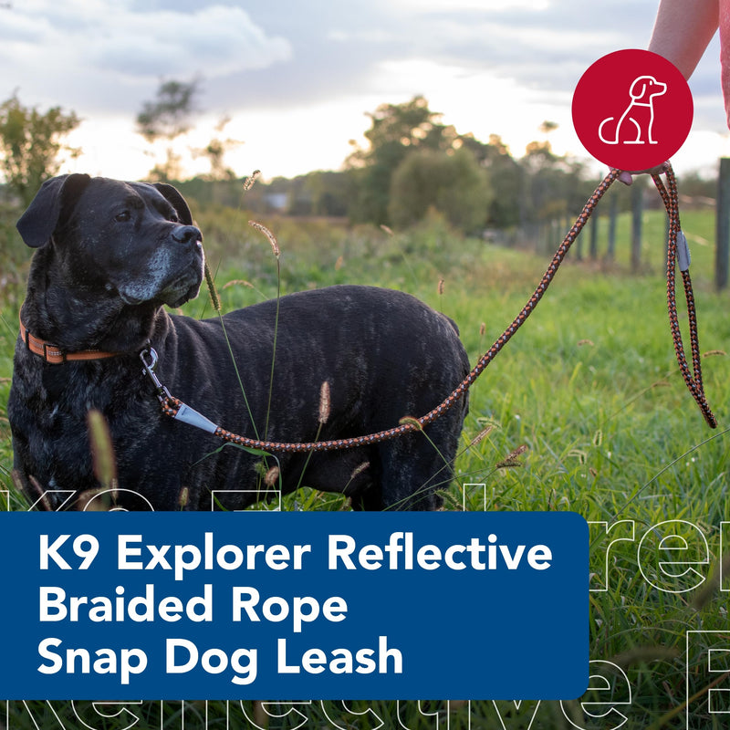 Coastal Pet K9 Explorer Reflective Braided Rope Snap Dog Leash - Heavy-Duty Leash - Comfortable & Secure Grip - Reflective Cord & Rugged Gunmetal Hardware - Orchid, 06' - PawsPlanet Australia