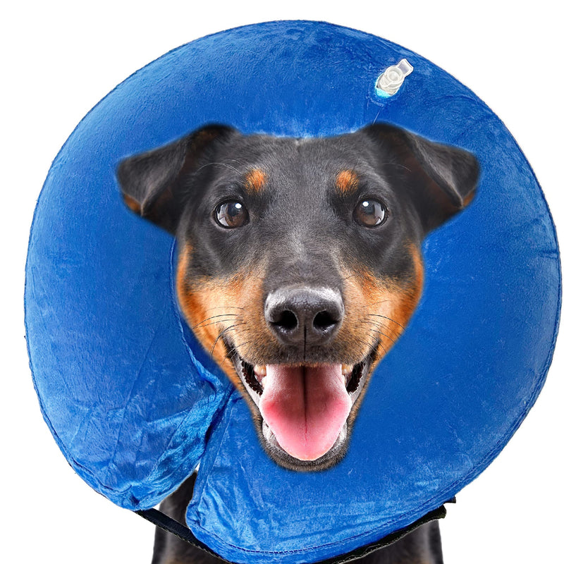 SIMENA Inflatable Pet Recovery Cone Collar for Cats and Dogs, Protective After-Surgery Adjustable Cone to Prevent from Biting and Scratching, Comfy Pet Collar (Blue, Small) Blue - PawsPlanet Australia