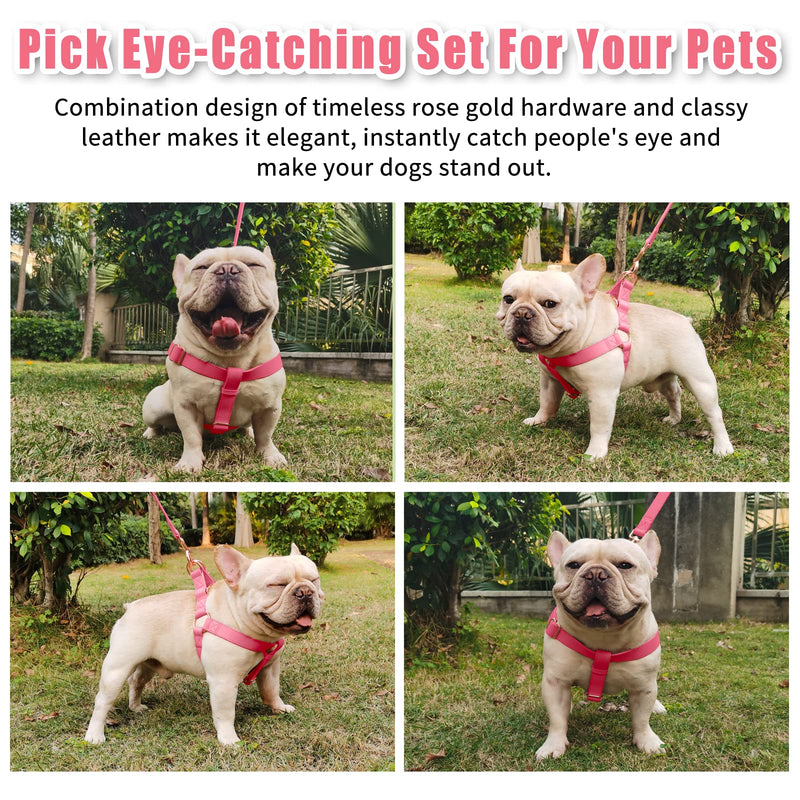 Soft Leather No Pull Dog Harness - Adjustable Step in Dog Harness with Rose Gold Heavy Duty Metal Buckle, Freedom Nylon Dog Halter Vests for Small Medium Large Dogs Easy Walking Training M, Dark Pink M (Neck&Chest Girth 20"-26"x Width 1") - PawsPlanet Australia