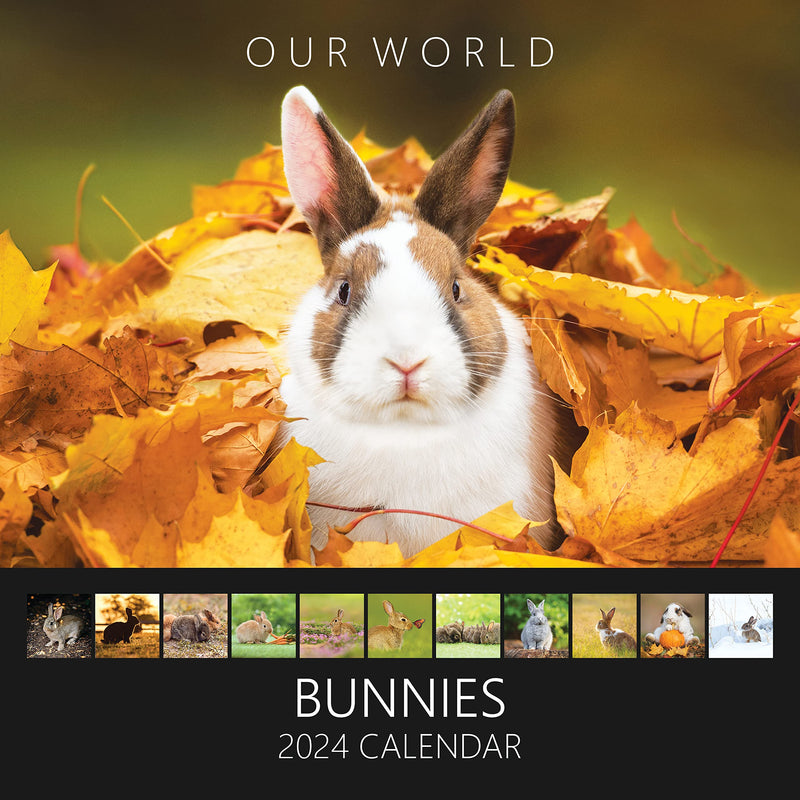 Our World Bunnies Wall Calendar 2024 - Fun Family Planner & Daily Organiser with Monthly Cute Rabbit Images - Slim Design 2024 Wall Planner - A Great Gift for Rabbit Lovers - PawsPlanet Australia