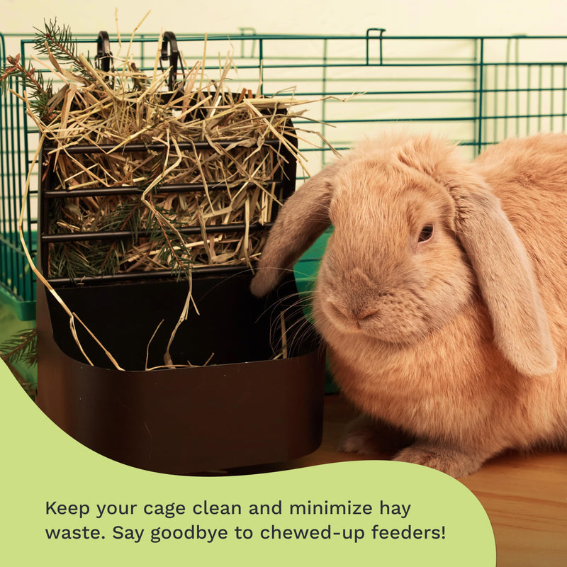 Hay and Food Feeder for Rabbit, Guinea Pig, Bunny, Chinchilla, Heavy Duty Metal Bin 5.5 x 5.5 x 7 inch - PawsPlanet Australia