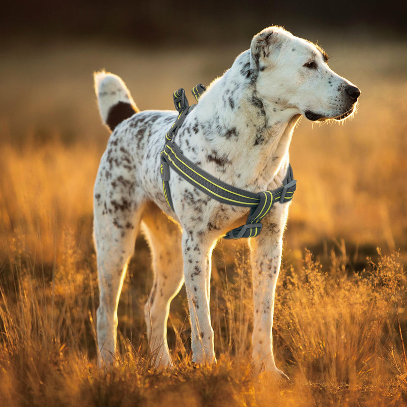 DOCO Solar Air Step-in Reflective Dog Mesh Harness for Walking Medium (Chest: 1" x 20-28") Gray - PawsPlanet Australia