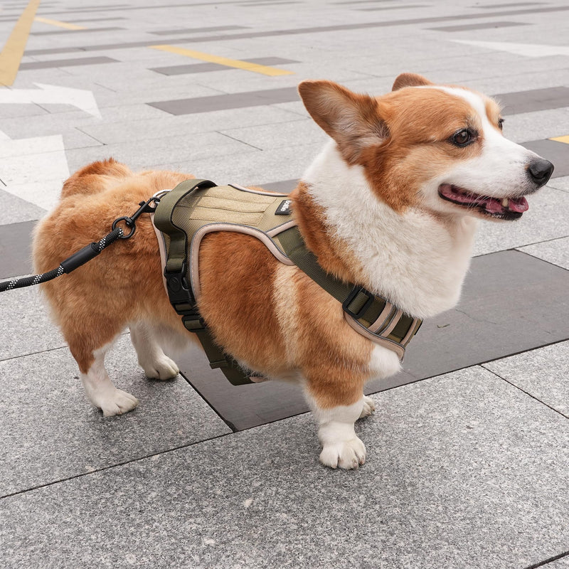 Small Dog Harness, Heavy Duty Tactical No-Pull Reflective Harness & Collar Set — Secure, No Choke, Easy On and Off Pet Vest, Adjustable Dog Vest with Breathable Padded for Walking Hiking Training Small - PawsPlanet Australia