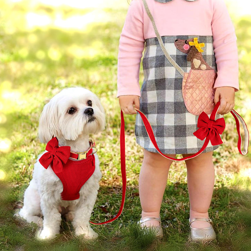 Didog Cute Small Dog Harness Collar and Leash Set with Bowtie, Breathable Soft Mesh Padded Puppy Harness, Christmas Dog Harness for for Parties, Holiday Gatherings & Gifts, Red, M M: Chest 15.7-20.8" - PawsPlanet Australia