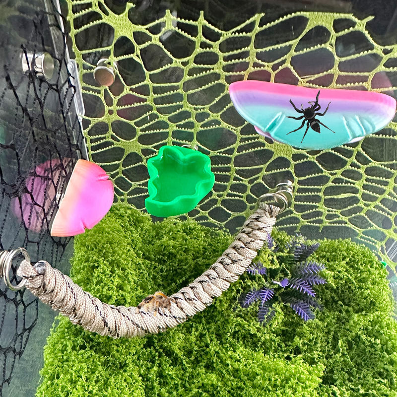 2 PCS Jumping Spider Feeding Dish, Leaf Shape Tiny Food Dishes Water Bowl with 1PC Tweezer and 1PC Dropper for Jumping Spider, Tarantula and Other Small Pets - PawsPlanet Australia