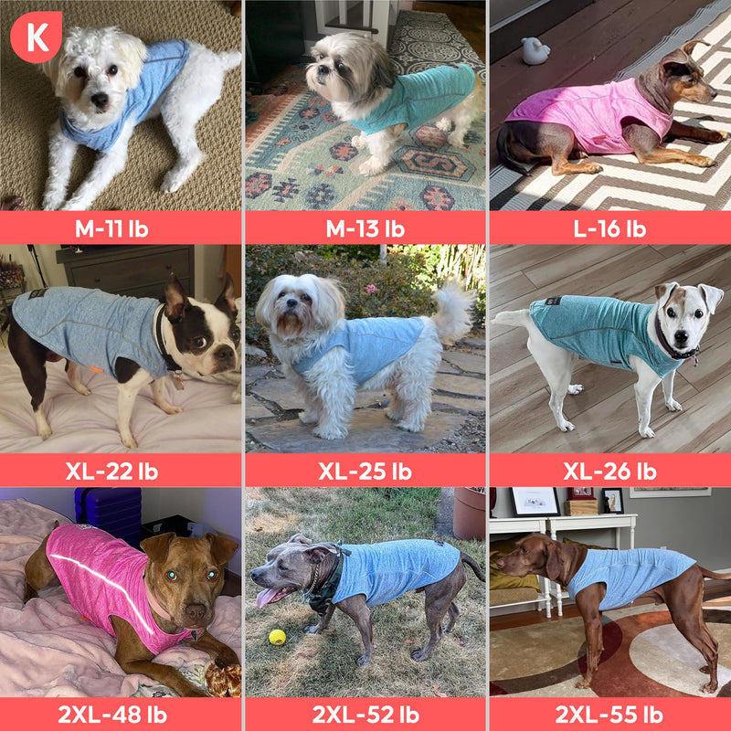 KYEESE 2Pack Reflective Dog Shirt, Lightweight Sun Protection Dog T Shirts for Small Dogs, Breathable Sleeveless Pet Tank Top Summer Dogs Clothes for Night Walking Outdoor, Lake Blue+Rose Red, L Large (13-19lbs) 8# 2Pack (Lake Blue+Rose Red) - PawsPlanet Australia