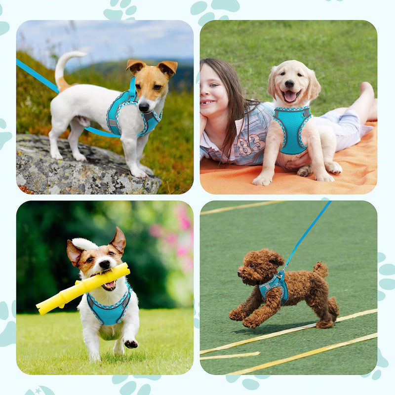 Pink XS No Pull Adjustable Reflective Breathable Mesh Step-in Harness & Leash Set for Extra Small/Small Medium Dogs & Cats - Easy Walk, Outdoor Hiking & Training Pink XS (neck: 11.8"-13.7", chest: 13.3"-15.7") - PawsPlanet Australia