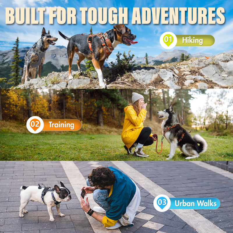 No Pull Dog Harness with Front & Back D-Rings,Water-Repellent 600D Oxford Fabric for Hiking,Training,Walking,Reflective Adjustable Vest,Lightweight Hardware Fit for Small Sized Dogs,Camo Orange XS XS (Chest 12’’-18’’) Camo Orange - PawsPlanet Australia