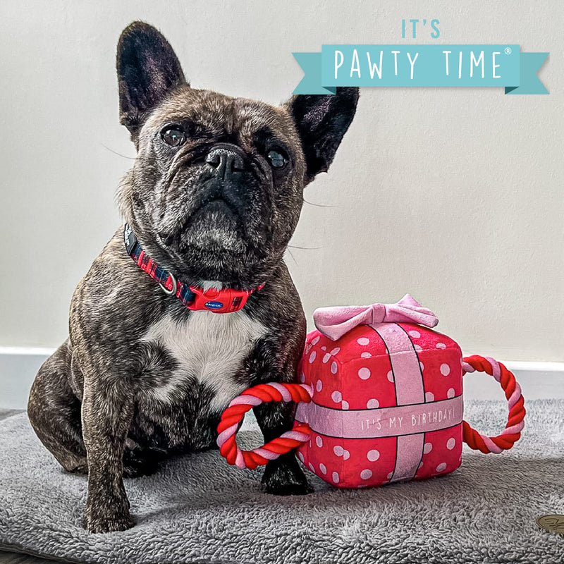 The Soho Pet Collection Its My Birthday Present in Pink Rope Toy - PawsPlanet Australia