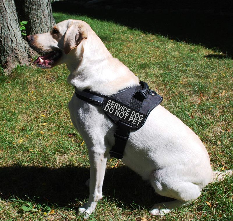 Doggie Stylz Set of 2 Reflective Service Dog DO NOT PET Removable Patches with Hook Backing for Working Dog Harnesses & Vests. Durable and Interchangeable - Comes in 3 Sizes Small, Medium and Large Small 3"x1" - PawsPlanet Australia