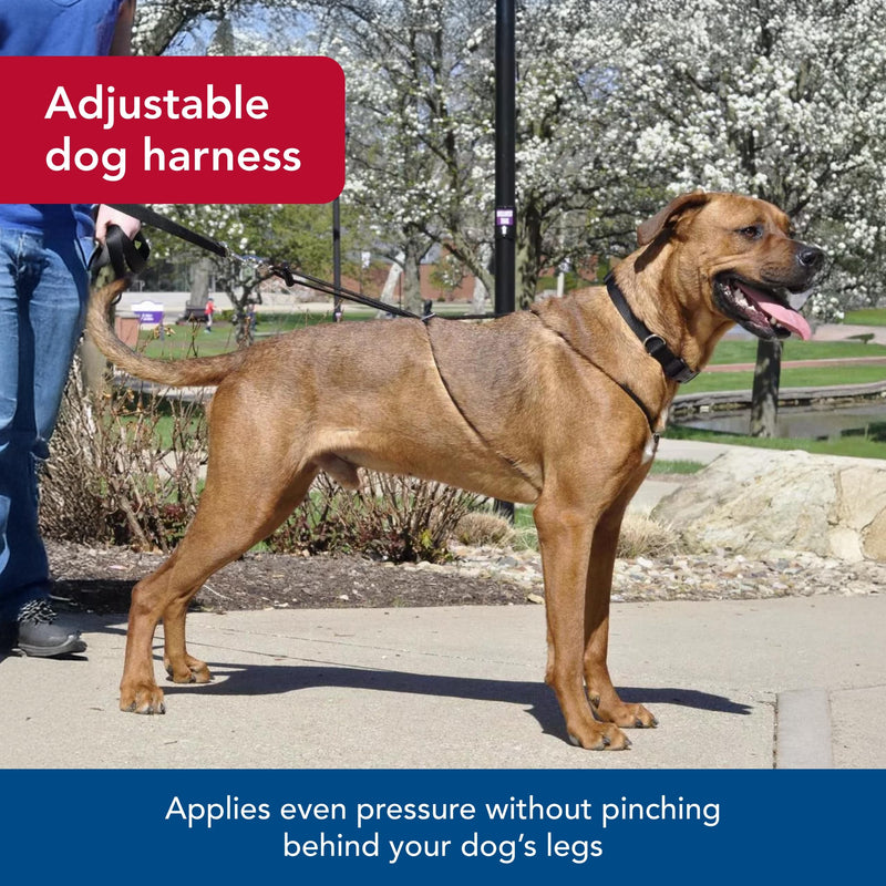 Coastal Pet Holt Adjustable Dog Control Harness - Big & Small Dog Harness - Walking Harness for Dogs - Instructions Included - Top-Grade Pet Supplies for Dogs - Black, Small (14") - PawsPlanet Australia