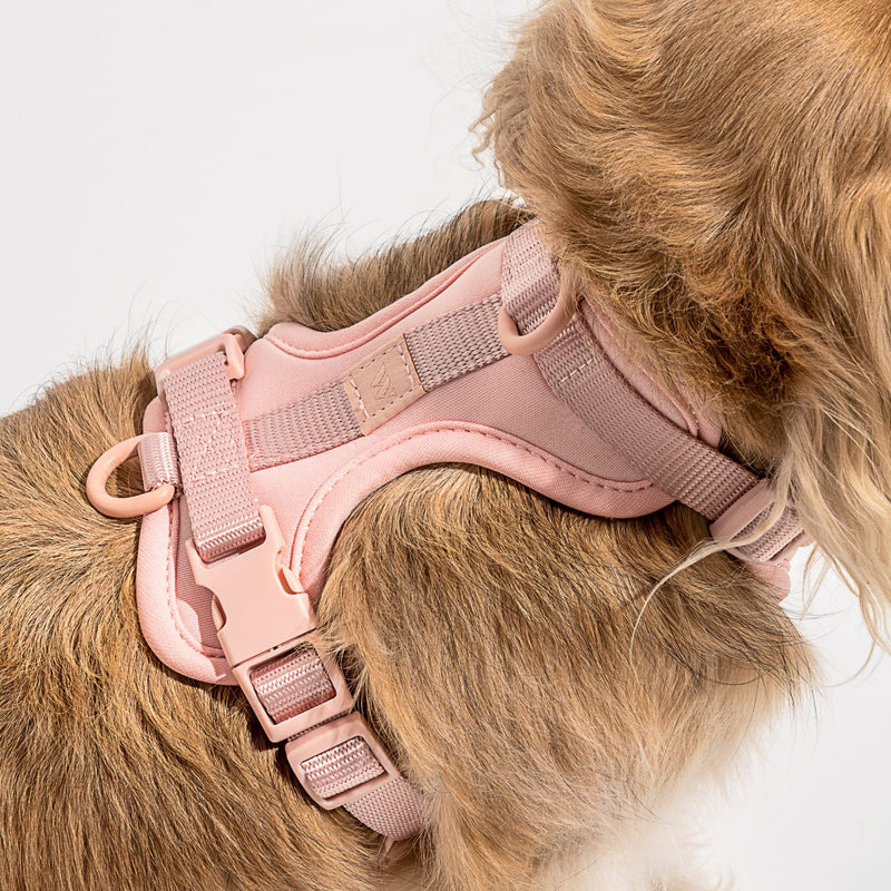 Wild One Harness 2.0 - Medium - Pink