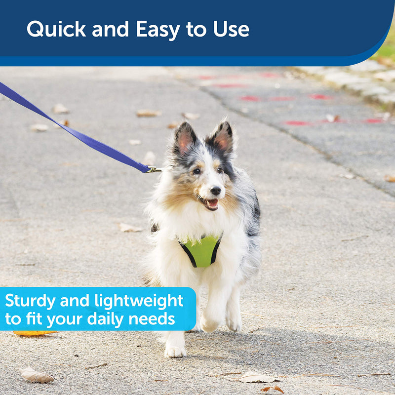 PetSafe Nylon Dog Leash – Strong, Durable, Traditional Style Leash with Easy to Use Bolt Snap – 3/4" x 4', Royal Blue - PawsPlanet Australia