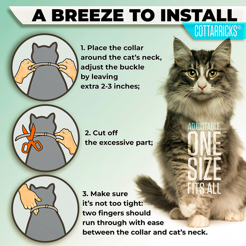 Flea and Tick Prevention for Cats - Collar - 2 Count - Adjustable - PawsPlanet Australia