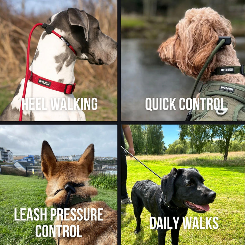 Fenrir Slip Leash 1.4m Professional Dog Training Lead To Stop Pulling, Perfect For Walks, Easy To Use, Spring Loaded Stopper, Light Weight And Durable Black - PawsPlanet Australia