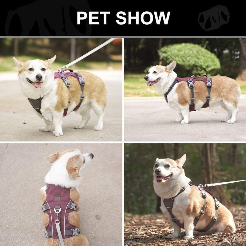 Escape Proof Dog Harness Medium Sized Dog, Reflective No Pull Dog Vest with Handle, Lightweight Full Body Pet Harness Adjustable for Walking,Training(Maroon,Chest:17-32") M: Chest 17-32", Fit 25-55 lbs Maroon - PawsPlanet Australia