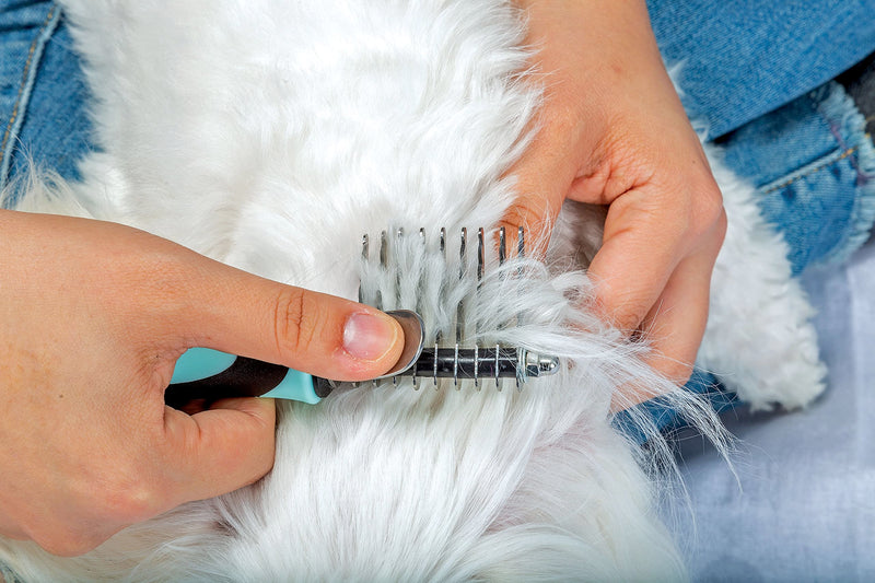 Pixie Paws Grooming Pet Brush 6 Piece Set, Dog and Cat Kit, Dematting Comb, Deshedding Fur, Toothbrush Clean Teeth, Remove Knot Tangles, Nail Clippers, Comfortable Handle - 530004E - PawsPlanet Australia