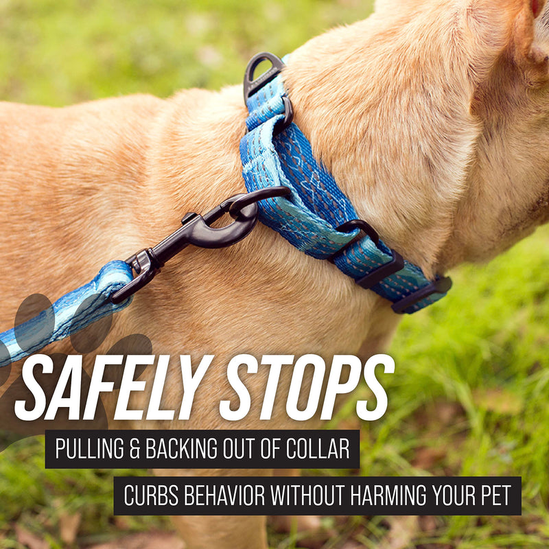 Leash Boss Martingale Collar for Dogs | Reflective Nylon Dog Collar for Large Dogs, Medium and Small Dogs | No Pull Pet Training Collar | Quick Release Buckle, Adjustable Pet Collar Medium-Large (16-19" Neck x 1" Wide) Purple/Pink - Space - PawsPlanet Australia